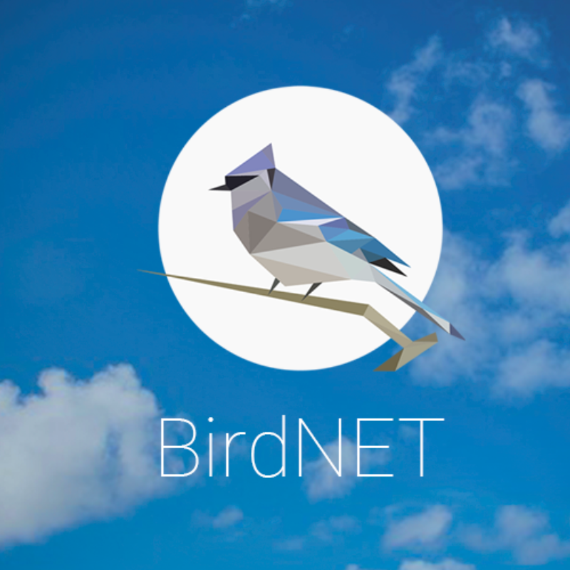 Bird.Net App