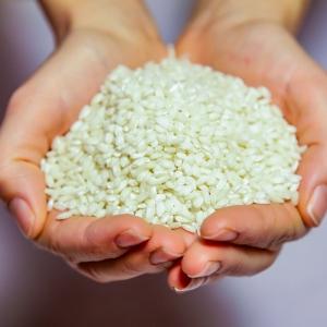 Rice