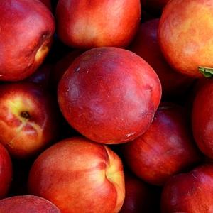 Peaches1