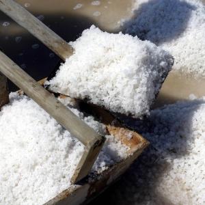 Cervia Salt