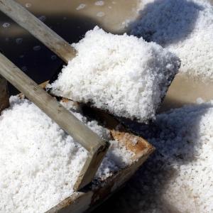 Cervia Salt