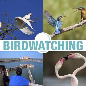 Birdwatching Autunno Slow