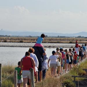 Saline di Cervia